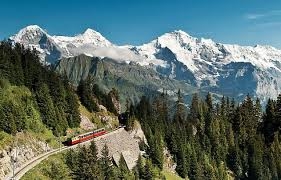 ���������: ������ ������� ����������