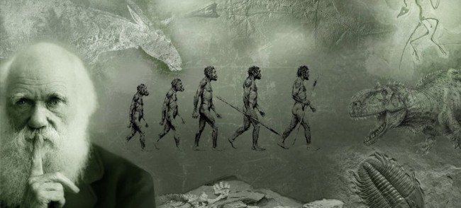 ������ �������� �������: �� ������� �� �������������